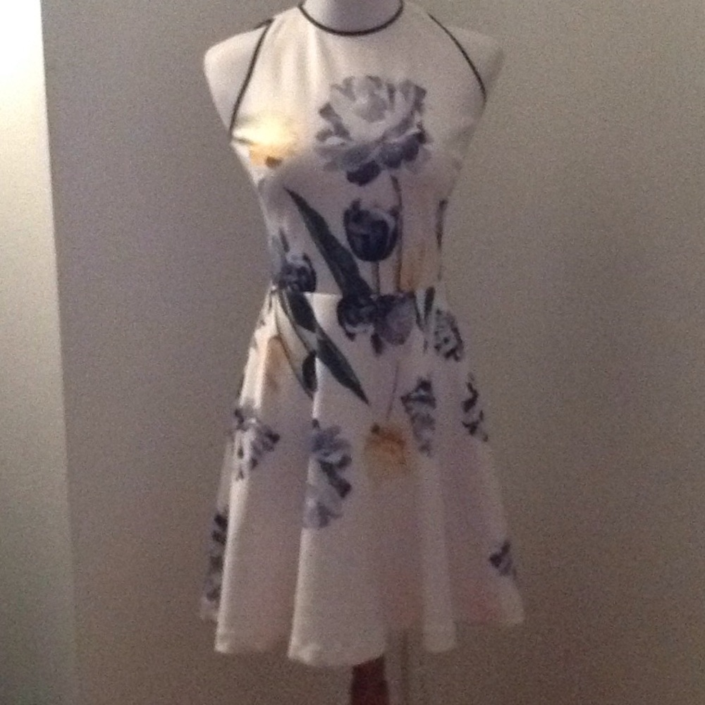 Ted Baker floral print dress, TB size 1